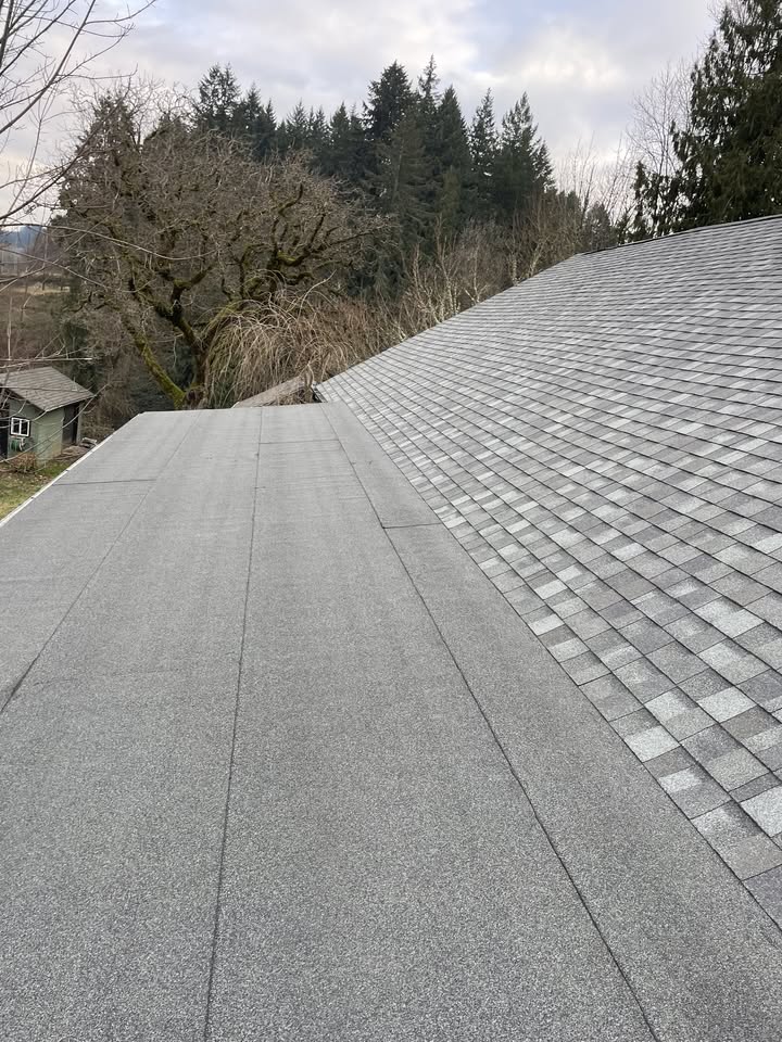 Flat and shingle roof meeting, forest backdrop